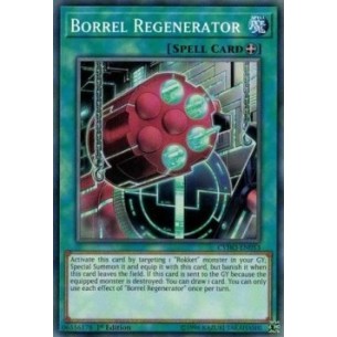 Borrel Regenerator