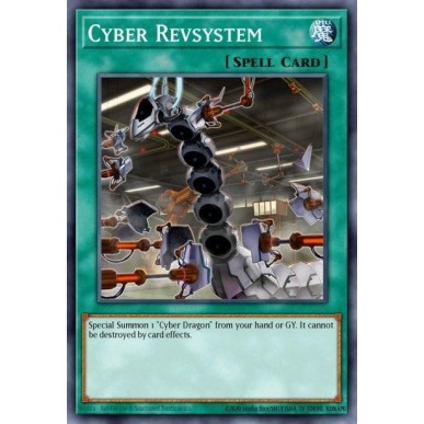 Cyber Revsystem