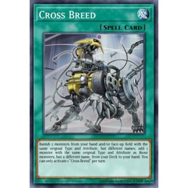 Cross Breed