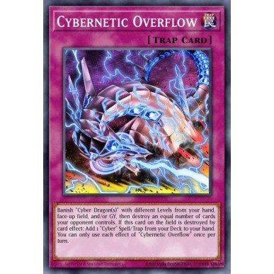 Cybernetic Overflow