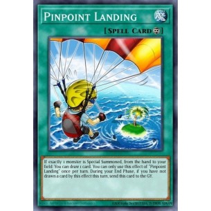 Pinpoint Landing