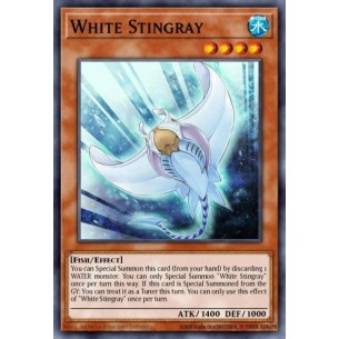 White Stingray