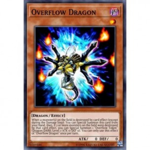 Drago Overflow