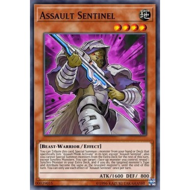 Sentinella d'Assalto