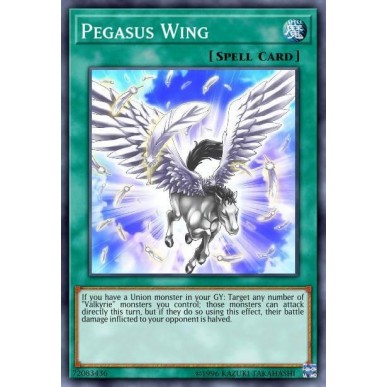 Pegasus Wing