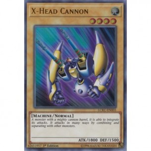 X-Testa Cannone