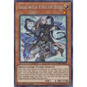 Saggio con gli Occhi di Blu