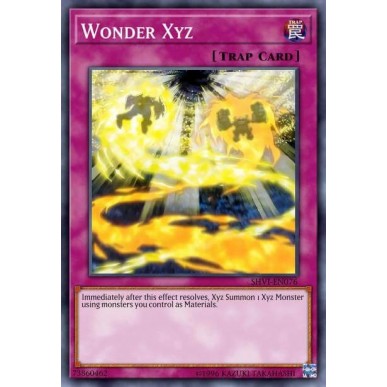 Wonder Xyz