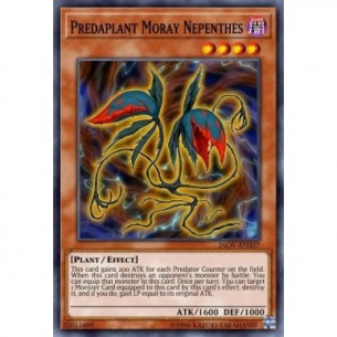 Predaplant Moray Nepenthes