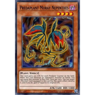 Predaplant Moray Nepenthes