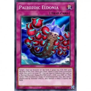 Paleozoic Eldonia
