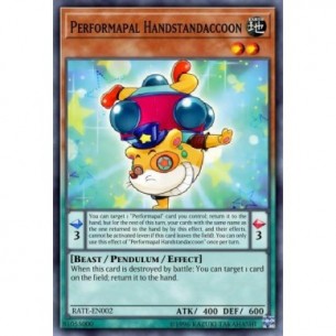 Performapal Handstandaccoon