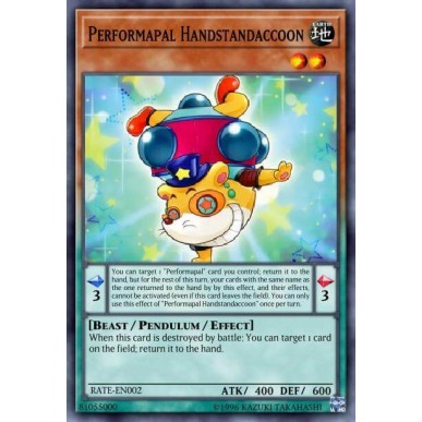 Performapal Handstandaccoon