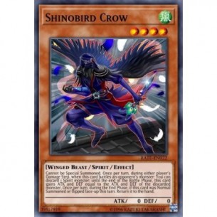 Shinobird Crow