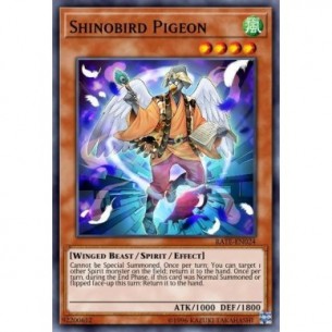 Shinobird Pigeon