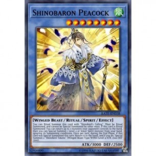 Shinobibarone Pavone