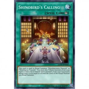 Shinobird's Calling