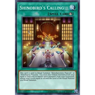 Richiamo dello Shinobird