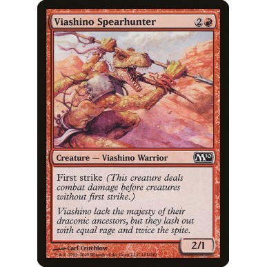 Cacciatore Astato Viashino
