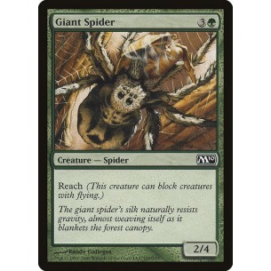 Ragno Gigante