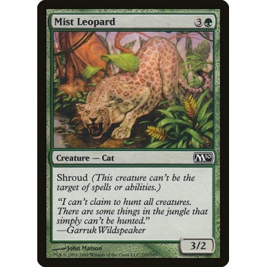Leopardo Brumoso