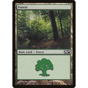 Foresta
