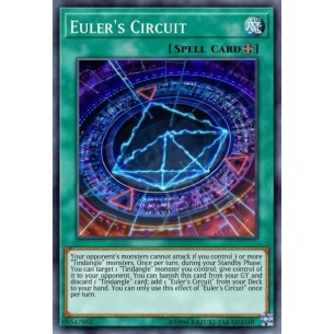 Circuito di Eulero