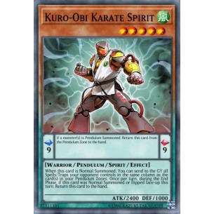 Spirito Karate Kuro-Obi