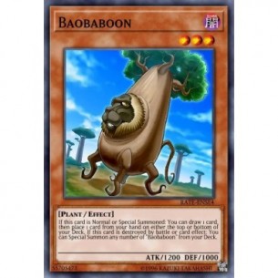 Baobabbuino