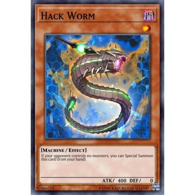 Hack Worm
