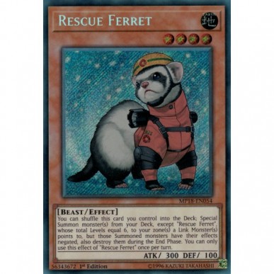 Rescue Ferret