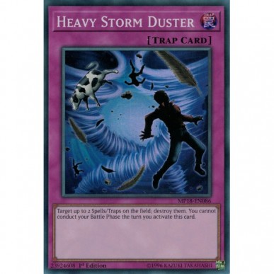 Heavy Storm Duster