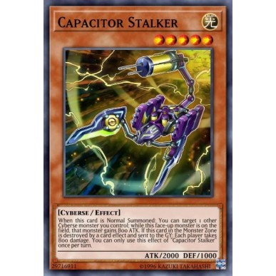 Cacciatore di Condensatori