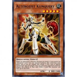 Altergeist Kunquery