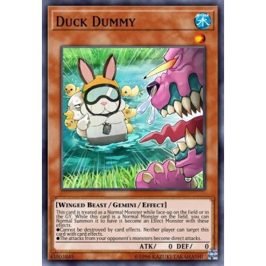 Duck Dummy