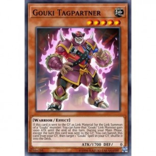 Gouki Compagno di Squadra