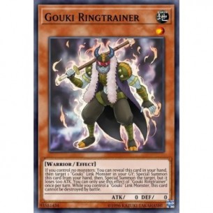 Gouki Ringallenatore