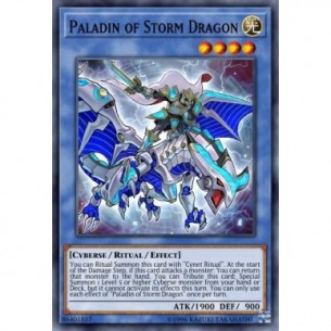 Paladino del Drago Tempesta