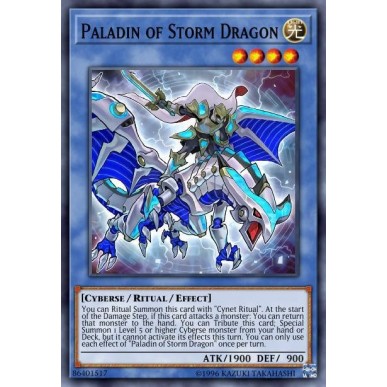 Paladino del Drago Tempesta