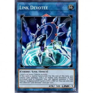 Devoto Link