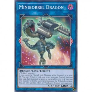 Drago Minicallibro