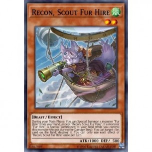 Recon, Ricognitrice...