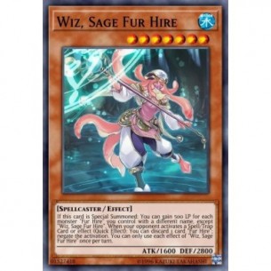 Wiz, Sage Fur Hire