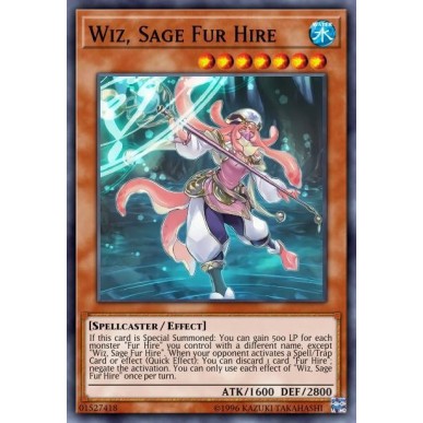 Wiz, Sage Fur Hire