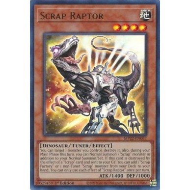 Raptor Frammento