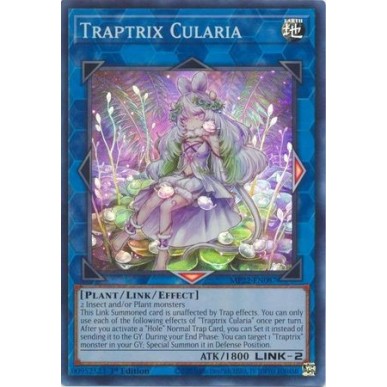 Trappolatrice Cularia