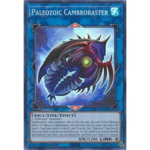 Cambroraster Paleozoica