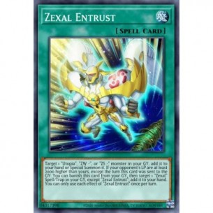 Affido Zexal