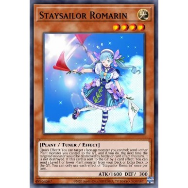 Trinchetta Romarin