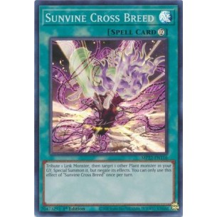 Solarvite Incrocio di Specie